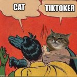 TikTok generation | TIKTOKER; CAT | image tagged in stepanman slapping robin,tiktok,cat,batman slapping robin,batman,stepan cat | made w/ Imgflip meme maker
