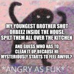 It's me, if you don't get the joke because you're the youngest | MY YOUNGEST BROTHER SHOT ORBEEZ INSIDE THE HOUSE, SPILT THEM ALL OVER THE KITCHEN; AND GUESS WHO HAS TO CLEAN IT UP BECAUSE HE MYSTERIOUSLY STARTS TO FEEL AWFUL? | image tagged in angry as fuk,memes,funny,angry | made w/ Imgflip meme maker