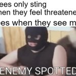 BUT I DIDNT DO ANYTHING D: | "bees only sting when they feel threatened"; bees when they see me: | image tagged in enemy spotted,animals,bruh,memes | made w/ Imgflip meme maker