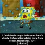 A Dutch boy