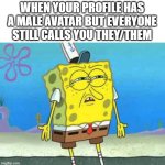 What's the point of them then? | WHEN YOUR PROFILE HAS A MALE AVATAR BUT EVERYONE STILL CALLS YOU THEY/THEM | image tagged in who put you on the planet | made w/ Imgflip meme maker