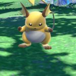 raichu thick