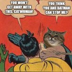 Robin vs Catwoman | YOU WON'T GET AWAY WITH THIS, CATWOMAN! YOU THINK YOU AND BATMAN CAN STOP ME? | image tagged in stepanman slapping robin | made w/ Imgflip meme maker