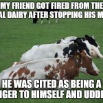 Dairy farm fun | MY FRIEND GOT FIRED FROM THE LOCAL DAIRY AFTER STOPPING HIS MEDS. HE WAS CITED AS BEING A DANGER TO HIMSELF AND UDDERS. | image tagged in more milk | made w/ Imgflip meme maker