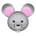 Mouse head