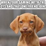 You know what kind of friend I’m talking about | WHEN YOUR GAMING WITH THE BOYS AND THAT ONE FRIEND JOINS: | image tagged in dissapointed puppy | made w/ Imgflip meme maker