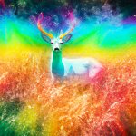 Wild deer standing in rainbow grass template