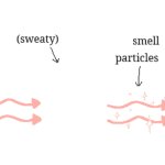 Sweaty Smell Particles