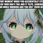 Nahida crying | THAT MOMENT WHEN YOU ACCIDENTALLY STEP ON YOUR DOG'S TAIL AND IT YELPS, LOOKING AT YOU WHILE WHINING AND YOU JUST THERE BE LIKE | image tagged in crying,dog,sad but true | made w/ Imgflip meme maker