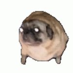 Parget use it what ever you want GIF Template
