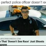 Perfect police officer