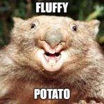 Happy Wombat | FLUFFY; POTATO | image tagged in happy wombat | made w/ Imgflip meme maker