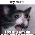 this happens to me too many times | me: moves the egg tray by 0.00012 inches; my mom:; BE CAREFUL WITH THE EGGS!!! THEY ARE FRAGILE!!!!! | image tagged in screaming cat meme,mom,egg | made w/ Imgflip meme maker