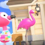 Animal Crossing Flamingos