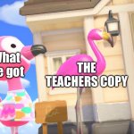 Meme #133 | THE TEACHERS COPY; What we got | image tagged in animal crossing flamingos | made w/ Imgflip meme maker