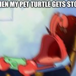 Mr Krabs Loud Crying | ME WHEN MY PET TURTLE GETS STOMPED | image tagged in mr krabs loud crying | made w/ Imgflip meme maker