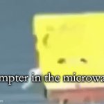hampter in macrowave | hampter in the microwave | image tagged in gifs,hamster,microwave,hamster in microwave | made w/ Imgflip video-to-gif maker