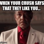 This isn't relatable to me, but it could be to you... | WHEN YOUR CRUSH SAYS THAT THEY LIKE YOU... AS A FRIEND | image tagged in gifs,so true memes,relatable,meme,memes,true story | made w/ Imgflip video-to-gif maker