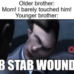 28 Stab Wounds | Older brother:
Mom! I barely touched him!
Younger brother:; 28 STAB WOUNDS | image tagged in 28 stab wounds,mom who is your favorite,fun,true | made w/ Imgflip meme maker