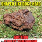 Dino turd auction | DINO TURD SHAPED LIKE DOGS HEAD; AUCTION STARTS TOMORROW | image tagged in dino turd auction | made w/ Imgflip meme maker