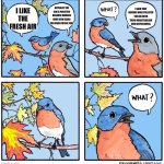 What bird | I SAID THAT HUMANS HAVE POLLUTED THE AIR WITH THEIR INDUSTRIALISM AND SELFLESSNESS; ACTUALLY, THE AIR IS POLLUTED BECAUSE HUMANS HAVE BEEN USING TOO MUCH FOSSIL FUEL; I LIKE THE FRESH AIR | image tagged in what bird,liberals,dummy,what | made w/ Imgflip meme maker