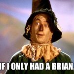 Wizard of Oz Scarecrow | IF I ONLY HAD A BRIAN. | image tagged in wizard of oz scarecrow | made w/ Imgflip meme maker