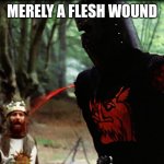 Flesh wound | MERELY A FLESH WOUND | image tagged in monty python black knight | made w/ Imgflip meme maker