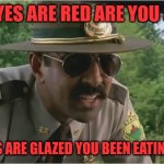 Highway Patrol | YOUR EYES ARE RED ARE YOU STONED; YOUR EYES ARE GLAZED YOU BEEN EATING DONUTS | image tagged in super troopers almost made it | made w/ Imgflip meme maker