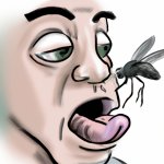 A human eats a fly template