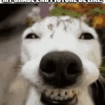 yes my picture look like that | NOBODY
MY GRADE 2ND PICTURE BE LIKE: | image tagged in gifs,true | made w/ Imgflip video-to-gif maker