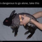 It’s dangerous to go alone