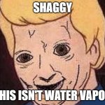 Shaggy this isnt weed fred scooby doo | SHAGGY; THIS ISN'T WATER VAPOR | image tagged in shaggy this isnt weed fred scooby doo | made w/ Imgflip meme maker