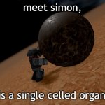Meet Simon
