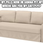 Sofa | AHH TOOK MY PILLS NOW IM GONNA PET MY CA- CAT?
WHERE ARE YOU MY CAT!?!?!? | image tagged in sofa | made w/ Imgflip meme maker