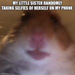 DELETE | MY LITTLE SISTER RANDOMLY TAKING SELFIES OF HERSELF ON MY PHONE | image tagged in staring hamster | made w/ Imgflip meme maker