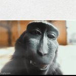 Giga monkey GIF Template