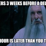 Project Managers Always Staying on Top of Things | PROJECT MANAGERS 3 WEEKS BEFORE A DELIVERABLE IS DUE:; THE HOUR IS LATER THAN YOU THINK | image tagged in saruman the hour is later than you think | made w/ Imgflip meme maker