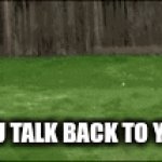 uhoh | WHEN YOU TALK BACK TO YOUR MOM | image tagged in gifs,mem | made w/ Imgflip video-to-gif maker
