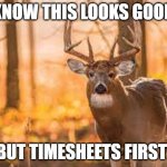 Deer | I KNOW THIS LOOKS GOOD... BUT TIMESHEETS FIRST! | image tagged in deer | made w/ Imgflip meme maker