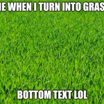 when the grass is cut | ME WHEN I TURN INTO GRASS; BOTTOM TEXT LOL | image tagged in when the grass is cut | made w/ Imgflip meme maker
