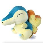 Cyndaquill plush meme