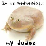it is wendsday my dudes! meme