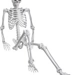 Full Body Skeleton