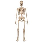Home Accents Holiday 5 ft. Ultra Poseable Skeleton with Glowing