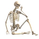 Full Body Skeleton