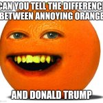 Donald Trump mugshot be like | CAN YOU TELL THE DIFFERENCE BETWEEN ANNOYING ORANGE; AND DONALD TRUMP | image tagged in annoying orange | made w/ Imgflip meme maker