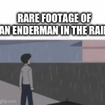 Enderman | RARE FOOTAGE OF AN ENDERMAN IN THE RAIN | image tagged in gifs,minecraft | made w/ Imgflip video-to-gif maker
