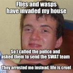 That’s what it is tho | Flies and wasps have invaded my house; So I called the police and asked them to send the SWAT team; They arrested me instead, life is cruel | image tagged in high/drunk guy | made w/ Imgflip meme maker