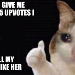 Thumbs up crying cat | GIVE ME 135 UPVOTES I; I’LL TELL MY CRUSH I LIKE HER | image tagged in thumbs up crying cat | made w/ Imgflip meme maker