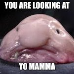 Blob fish | YOU ARE LOOKING AT; YO MAMMA | image tagged in blob fish | made w/ Imgflip meme maker